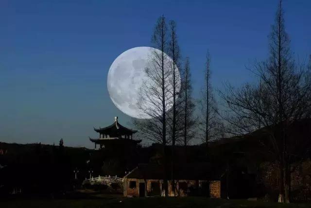 最美中秋,但願人長久,千里共嬋娟