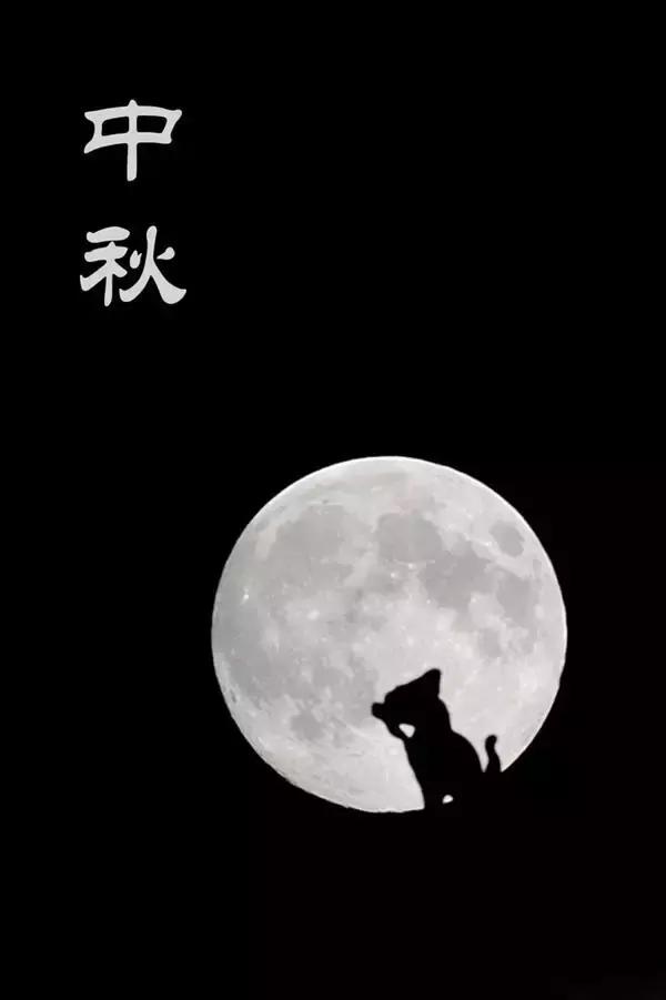 十首最美中秋詩詞,哪首最令你動容?