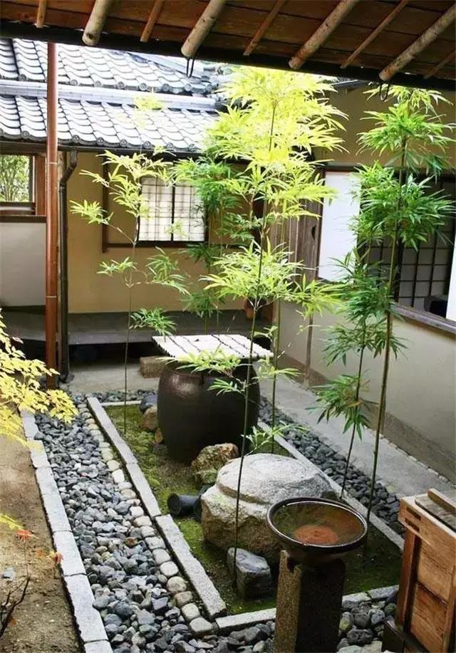看景不如造景—回鄉下造個院子,陪你慢慢變老!