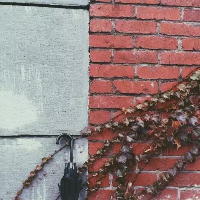 說，與不說（好文）