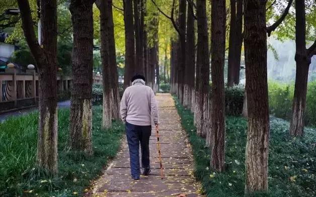 走路是癌症的特效藥! 若我不忙,定要走走!