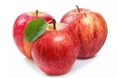 秋季水煮“百科全書”,您得看一看哦!