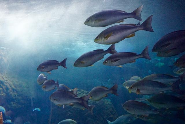 女性理財—無論有錢沒錢，理財都是必需的