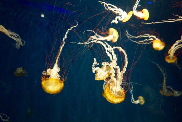 女性理財—無論有錢沒錢，理財都是必需的