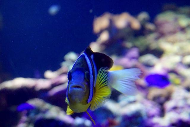 女性理財—無論有錢沒錢，理財都是必需的