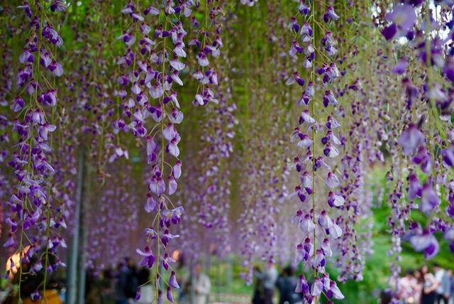 女性理財—無論有錢沒錢，理財都是必需的