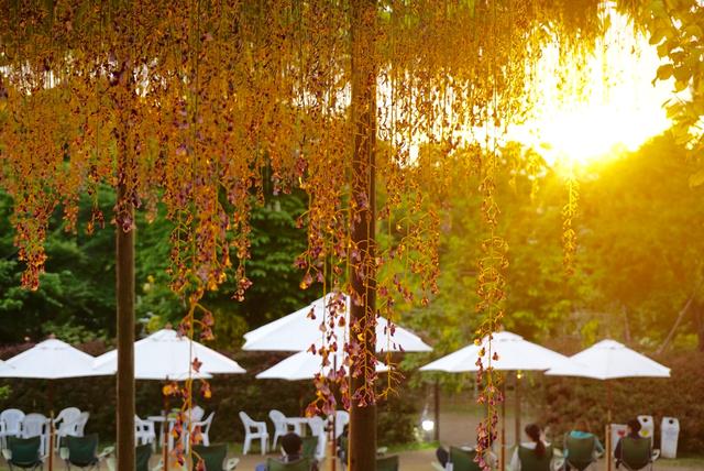 女性理財—無論有錢沒錢，理財都是必需的