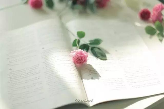 真正的放下，不是哭著吵著要離開……