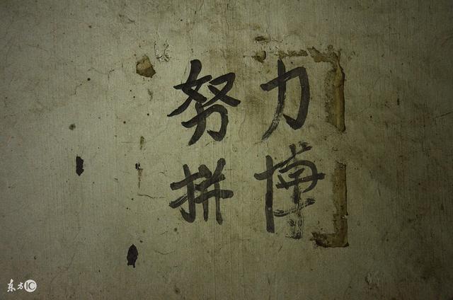 當心,別被你的努力毀了你