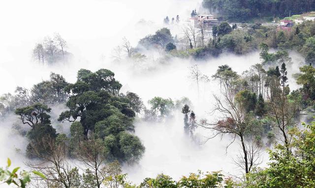 人生必交的四個朋友（你是否擁有？）