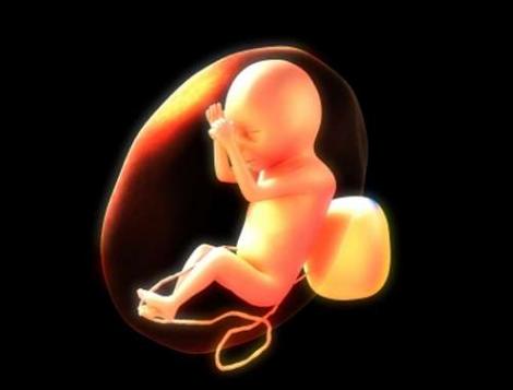 懷孕初期,腹中的胎兒最怕媽媽幹什麼呢? 孕婦們不可不慎!