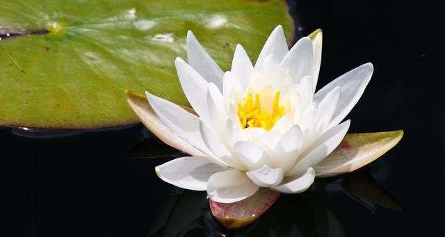 人生哲理（值得一看）