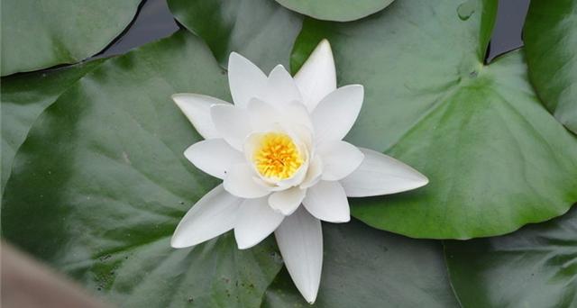 人生哲理（值得一看）