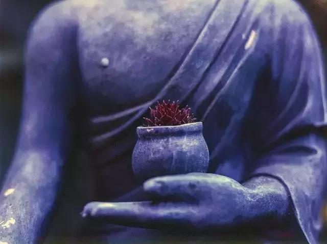 時光易老,不忘來路,不改初心(收藏)