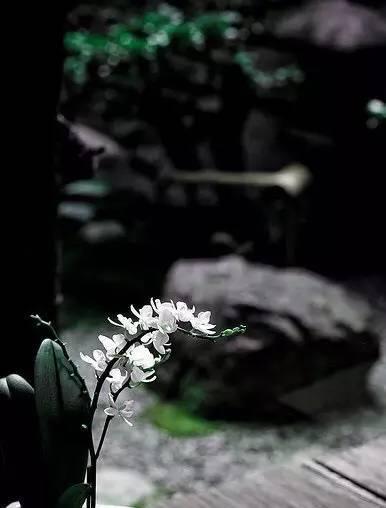 多少錯過,遺憾了終生