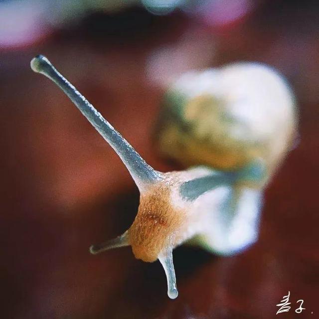 3個習慣告訴你高度自律是一種什麼體驗
