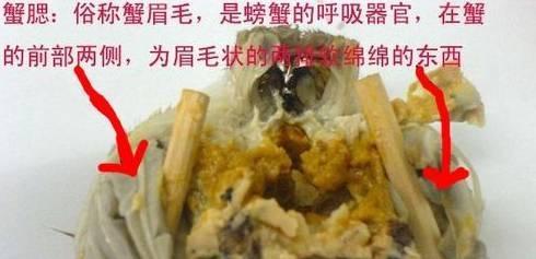 螃蟹有四個部位萬萬吃不得,一種人吃螃蟹就是在害自己