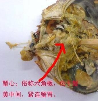 螃蟹有四個部位萬萬吃不得,一種人吃螃蟹就是在害自己