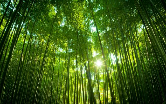 暖一顆心,費很多年;涼一顆心,只花一瞬間