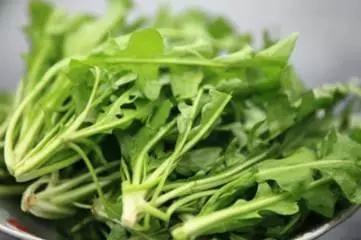 對眼睛最好的食物,記得讓孩子多吃! 太有用了