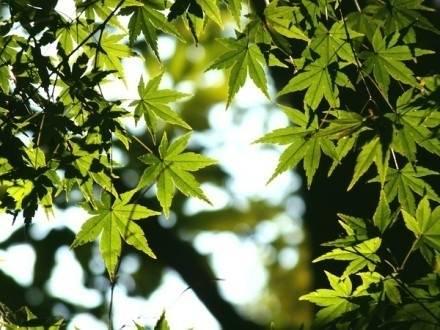 多少人從此不再打擾,卻始終念念不忘(收藏)