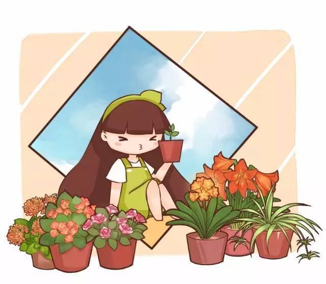 秋冬太冷,養花活不了? 50種花的越冬秘籍,愛看不看!