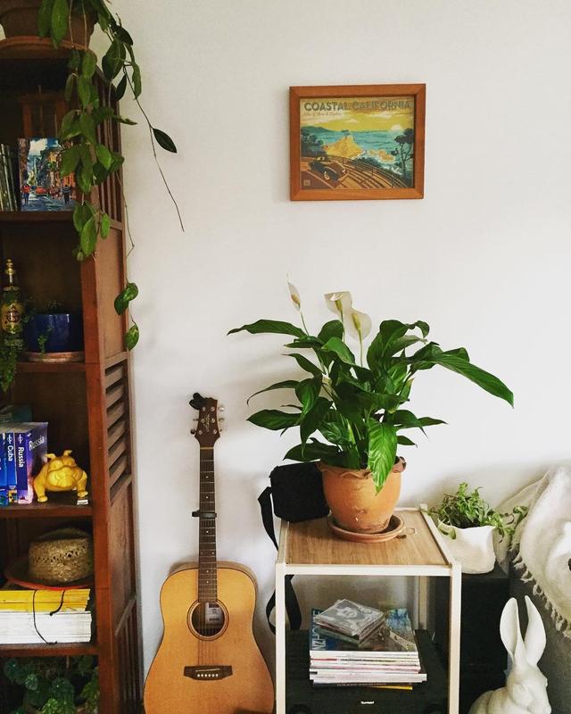 喜歡看到植物與綠色同時出現? 快讓我們把“植物園”搬回家