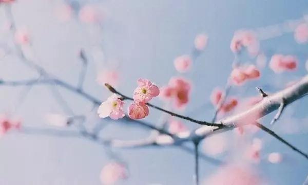 人，醜不怕，窮不怕，就怕又醜又窮又奸詐，丟啥不能丟良心！