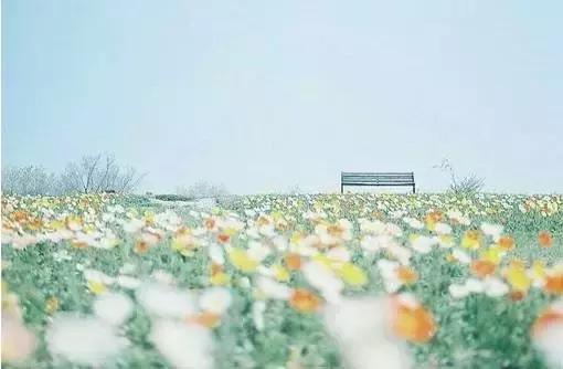 黃連苦，沒錢更苦