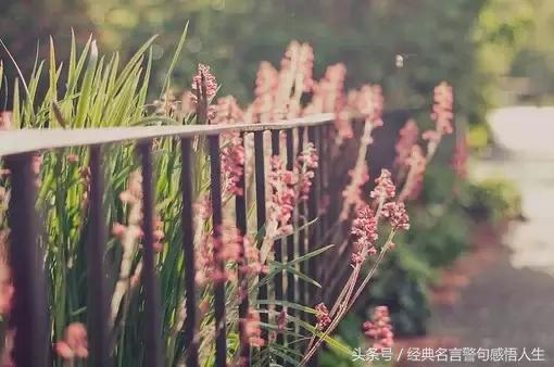 一半+一半=圓滿！