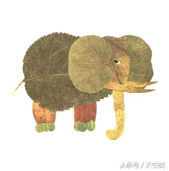 只有這件事,一定要在秋天教給孩子!