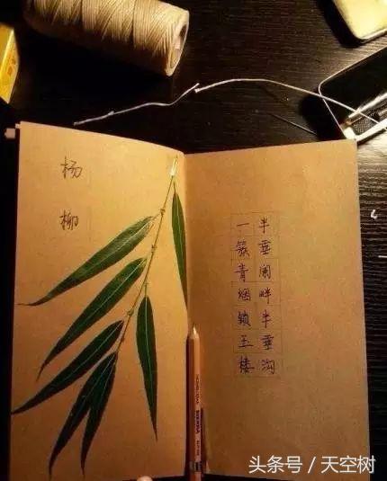 只有這件事,一定要在秋天教給孩子!