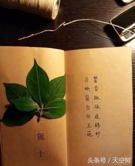 只有這件事,一定要在秋天教給孩子!