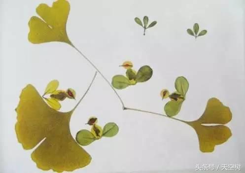只有這件事,一定要在秋天教給孩子!