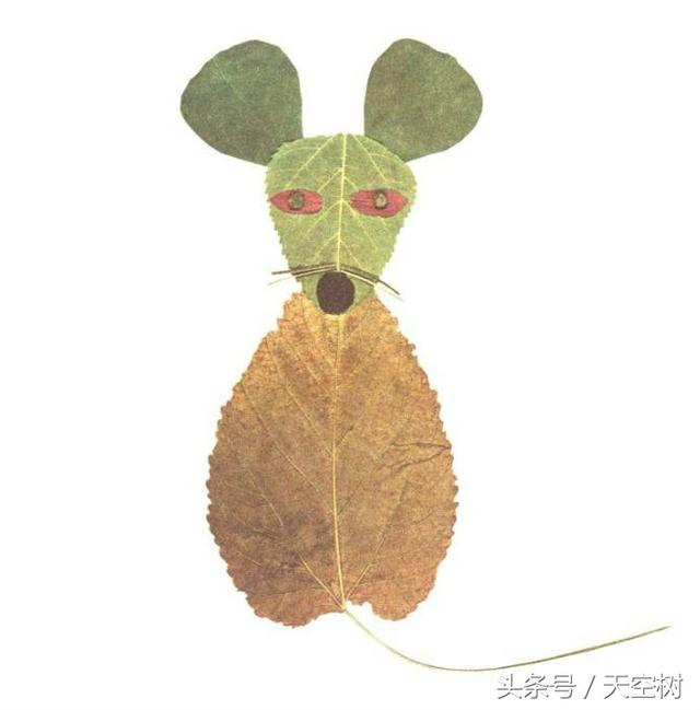只有這件事,一定要在秋天教給孩子!