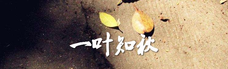 遍地黃金的時代,為什麼你就看不到?