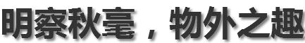 遍地黃金的時代,為什麼你就看不到?