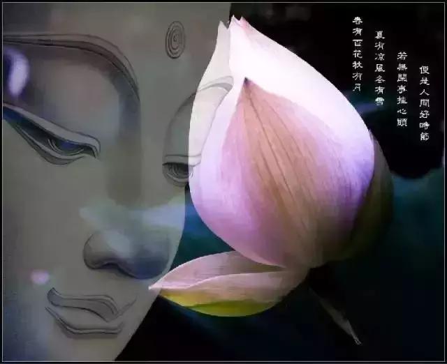 人生不順了讀讀這段話,享用終身! (值得珍藏)