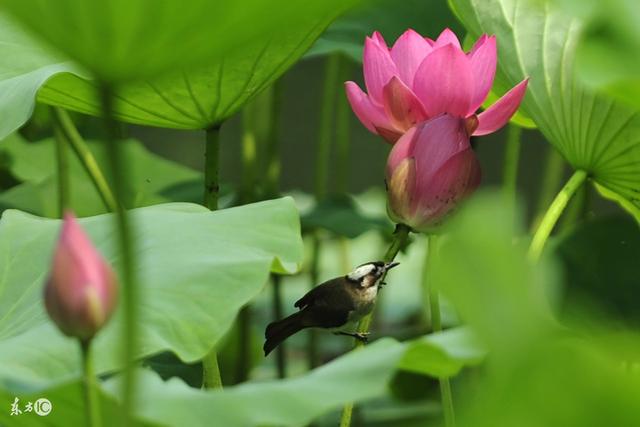 平時多幫人，急時有人幫；晴天留人情，雨天好藉傘