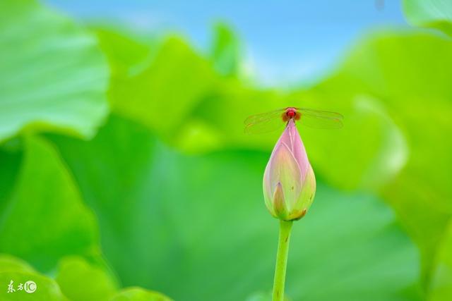 平時多幫人，急時有人幫；晴天留人情，雨天好藉傘