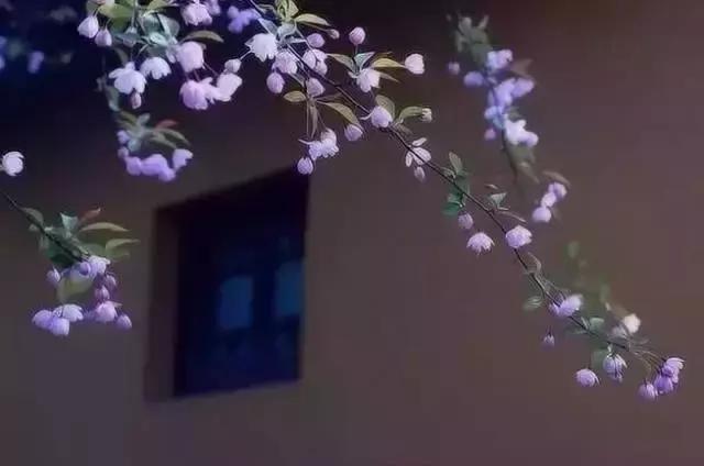 記住別人的“滴水之恩”!