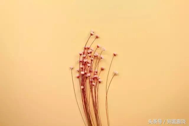 簡單，真好！