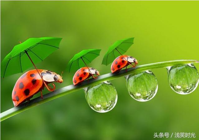 人這一輩子，不要想太多，順其自然最好