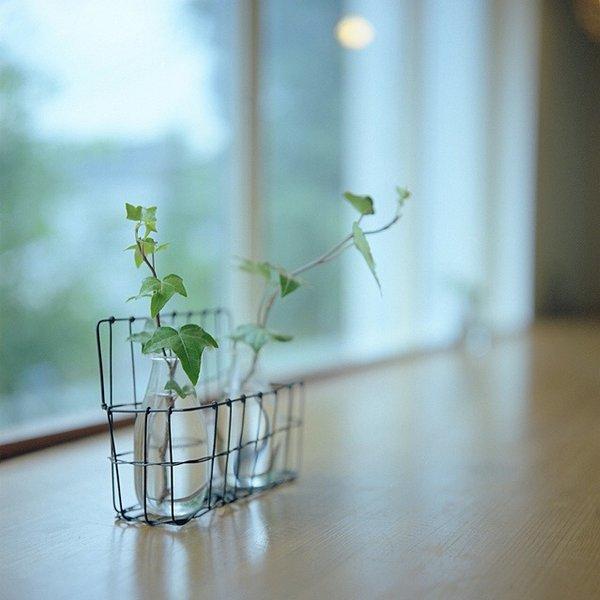 懶惰像生鏽一樣,比操勞更消耗身體