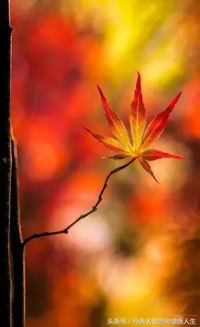 錢不是個好東西！ 太對了！ 都是大實話啊！