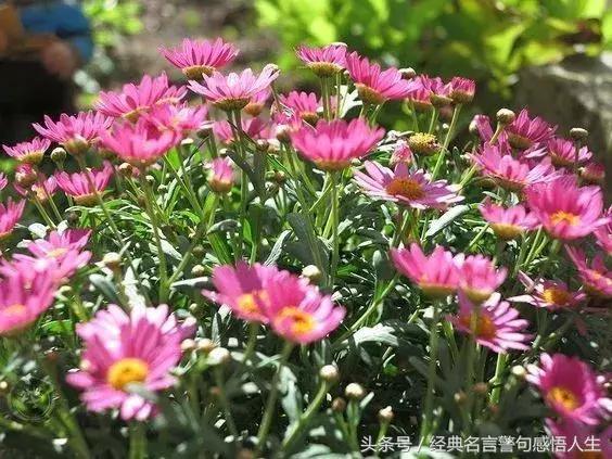 錢不是個好東西！ 太對了！ 都是大實話啊！
