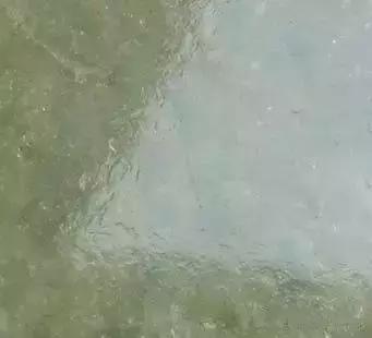教你快速區分翡翠和玉髓,已經有幾萬人被騙了!