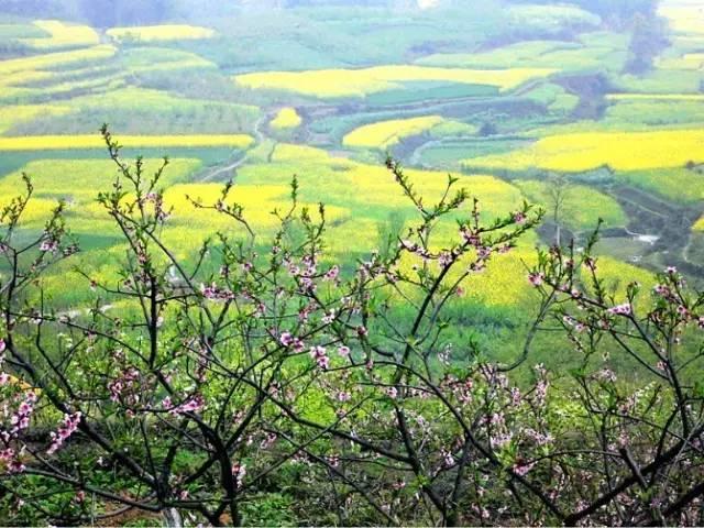 中國造價2000億的川藏鐵路首次曝光，沿途風景美到哭！