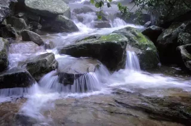 願人生，如水坦然