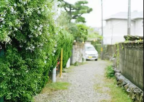 致實在人：善良不代表傻，厚道不代表笨